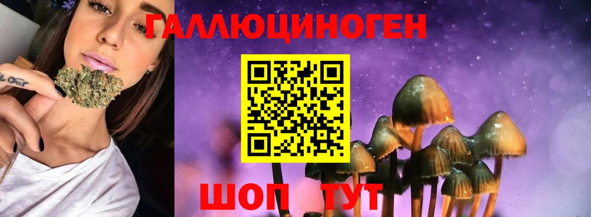 Тайшет  Галлюциногенные грибы GOLDEN TEACHER  Вход с VPN 